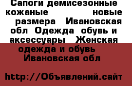 Сапоги демисезонные кожаные Paolo Conte новые 37 размера - Ивановская обл. Одежда, обувь и аксессуары » Женская одежда и обувь   . Ивановская обл.